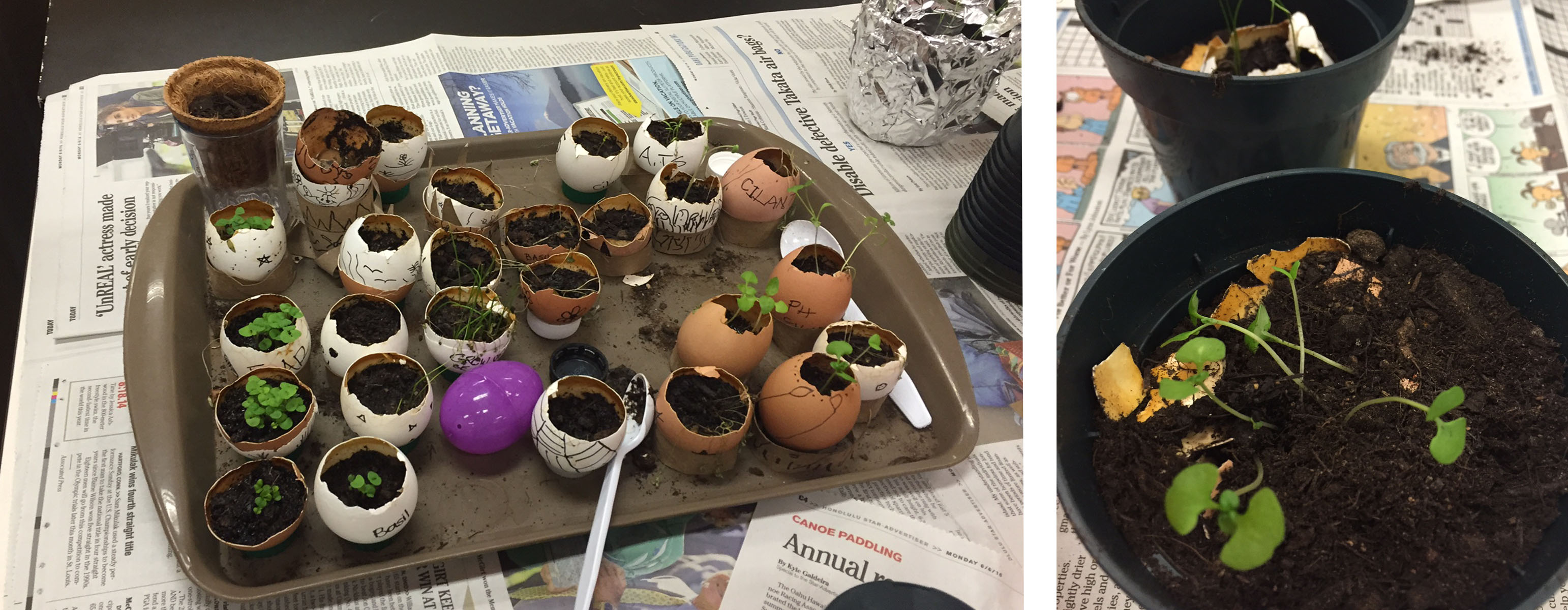 2016 Earth Day at KYA: Seed Blog 4