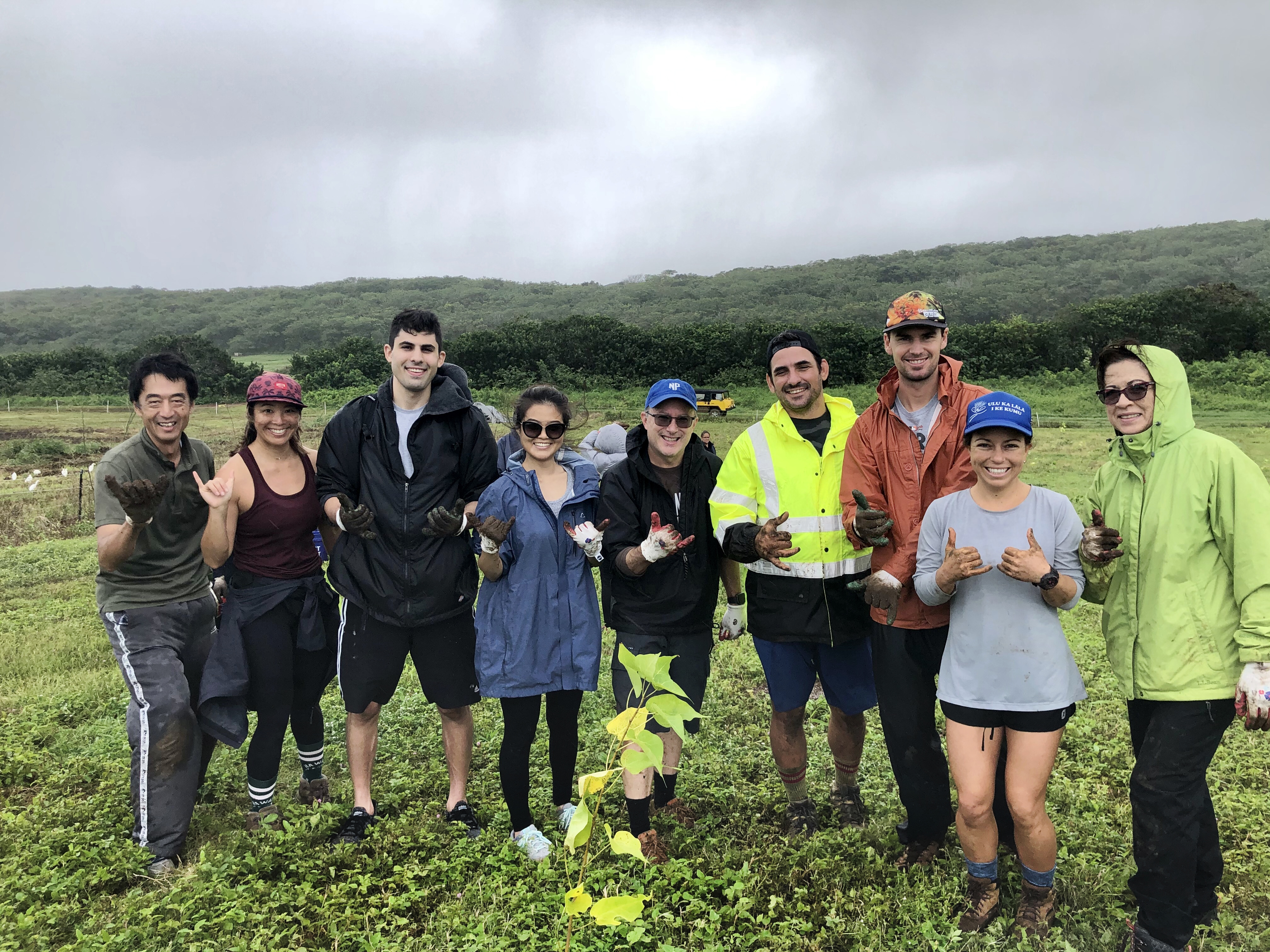 KYA joins ANA in planting 250 Milo trees on Oahu’s north shore